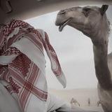 هواجيس قصائد بدوي 𓅔
