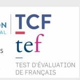 TCF & TEF|LIBRARY