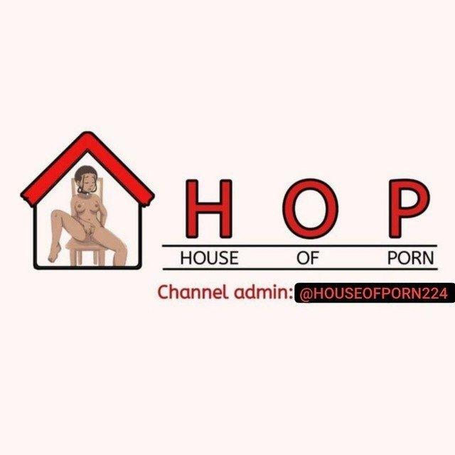 Africans in Diaspora H.O.P