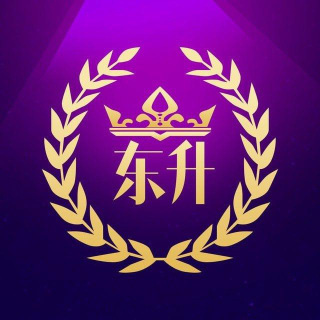 东升国际🏆【官方直属频道】
