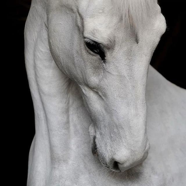 T.S