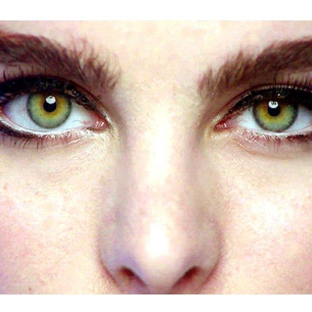 ✨ Artificial Life ✨