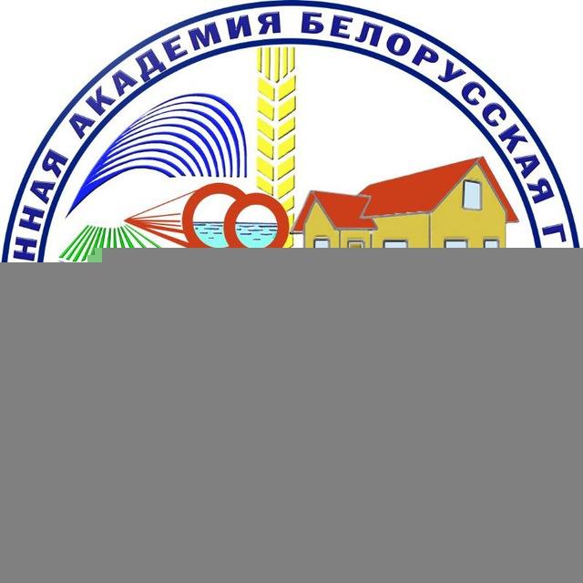 МСФ БГСХА (г. Горки)