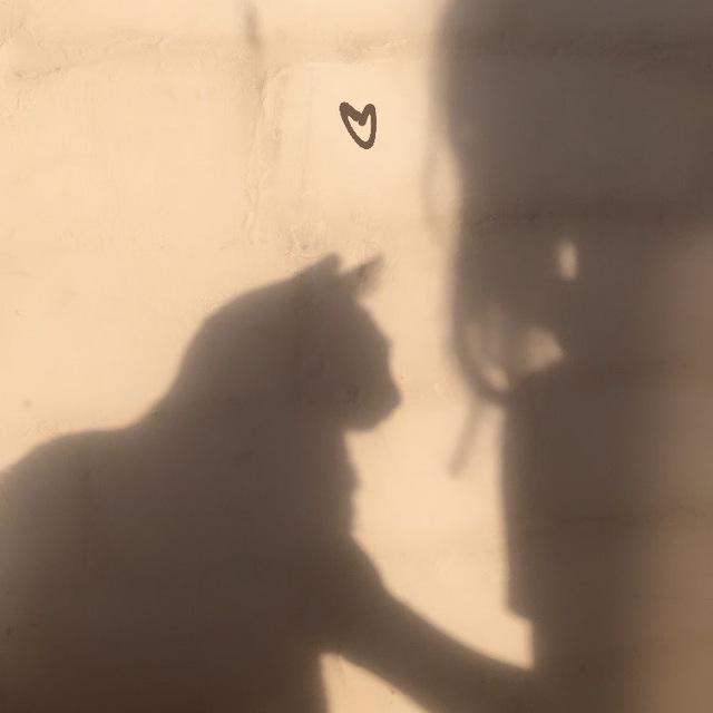 Hi aloe и кошка 🔸 Art