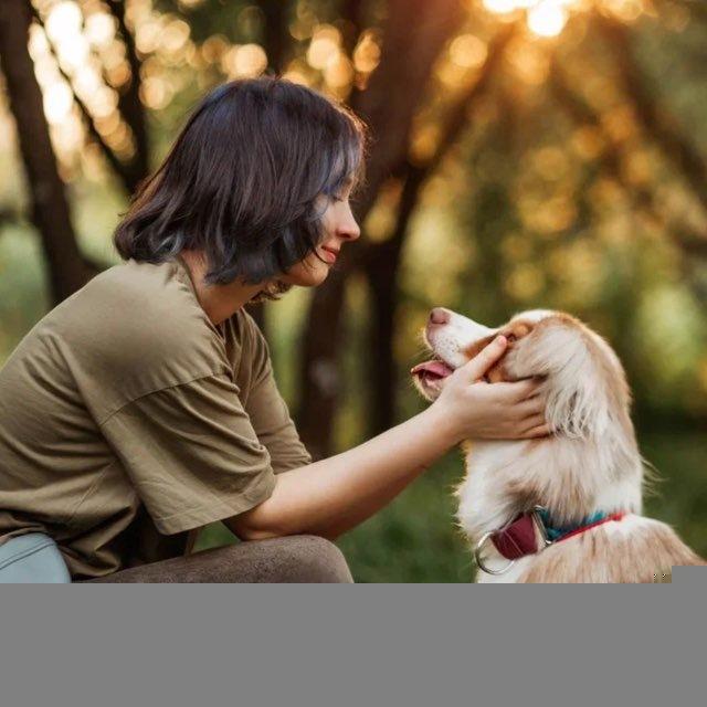 ✨Логово комфортных🐾