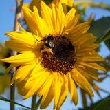 Татьяна Беспалова ☀️Свет Любви☀️