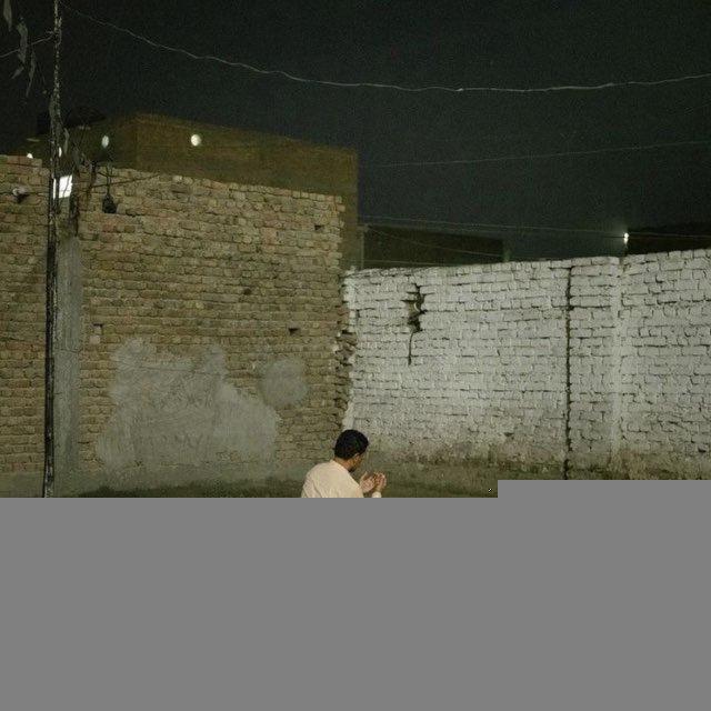 نشائد
