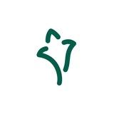 Комитет по развитию туризма Казани