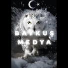 Baykuş 🦉 Medya