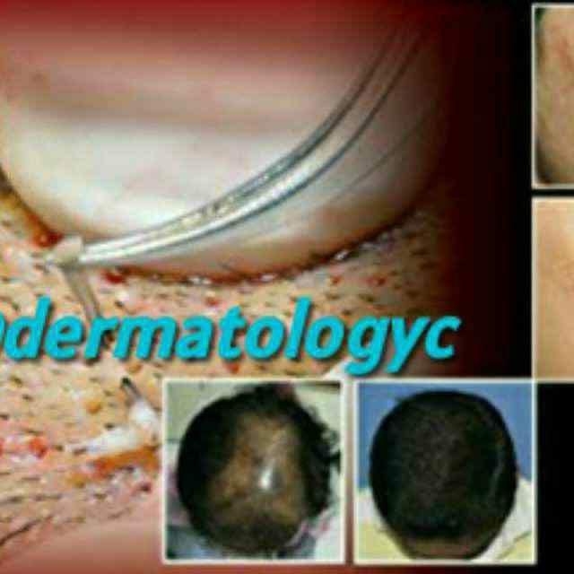 dermatology books . courses