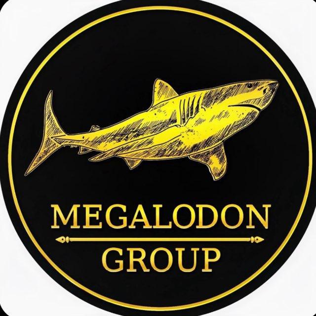 Megalodon Group