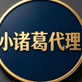 小诸葛网络节点代理🚀