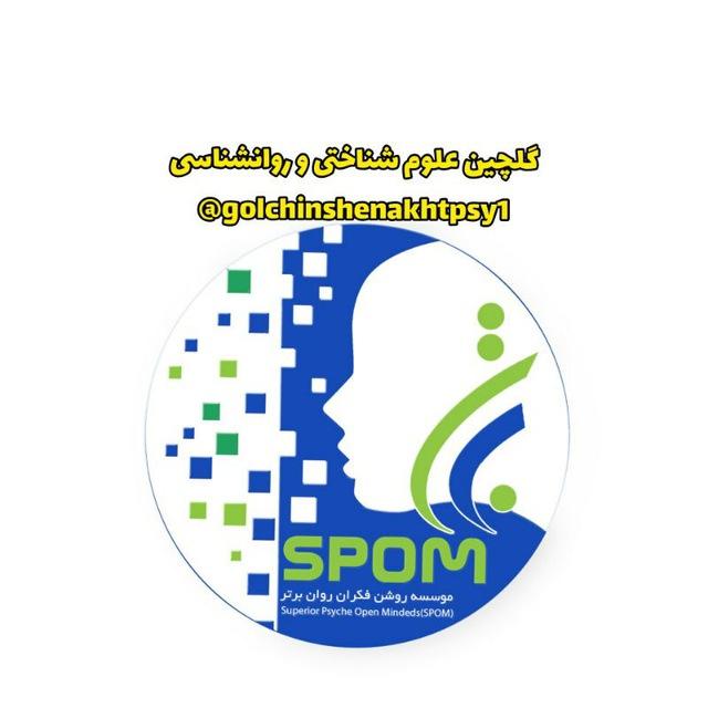 گلچین علوم شناختی و نوروساینس و روانشناسی برتر