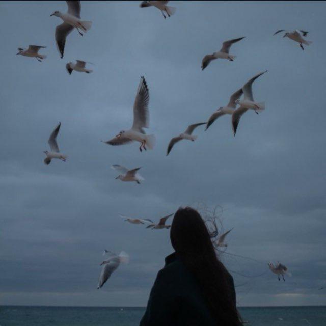 "فَاء❀"