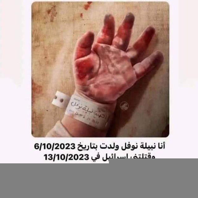 الشريعة | واللغة | أصول الدين والدعوة 🤍