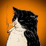 шерстяные проказники • коты