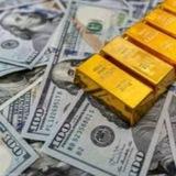 سعر الدولار في مصر