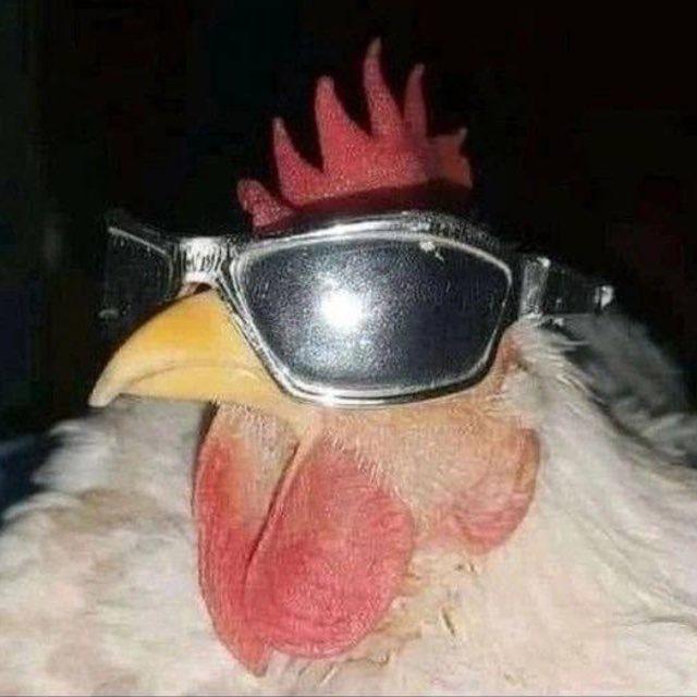 даша ахматова