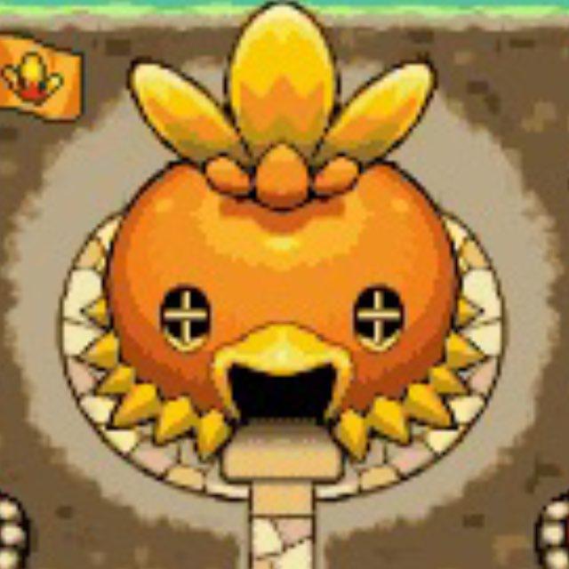 Torchic's Team Base