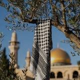 لـ تسنِيم الكاتِبة الصغِيرة𐙚