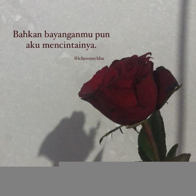 Lagu Arab/ Arabic Song🌸