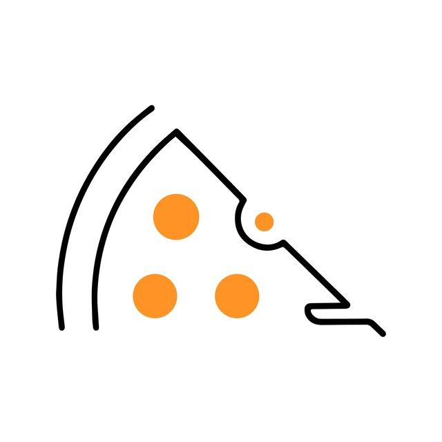 PIZZA DAILY
