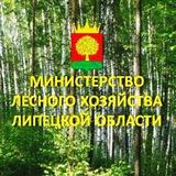 Министерство лесного хозяйства Липецкой области