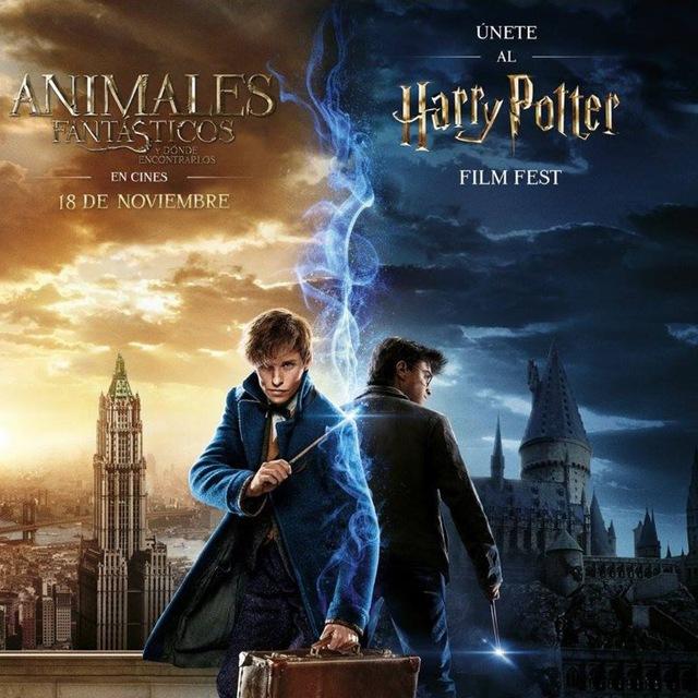 Harry⚡Potter🦉Animales🧙🏻‍♂️Fantásticos✨