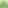 የሱሀቦች ዘመን