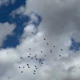أحمَد والحَياة