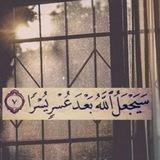 حالات واتس قرآن كريم 🩵