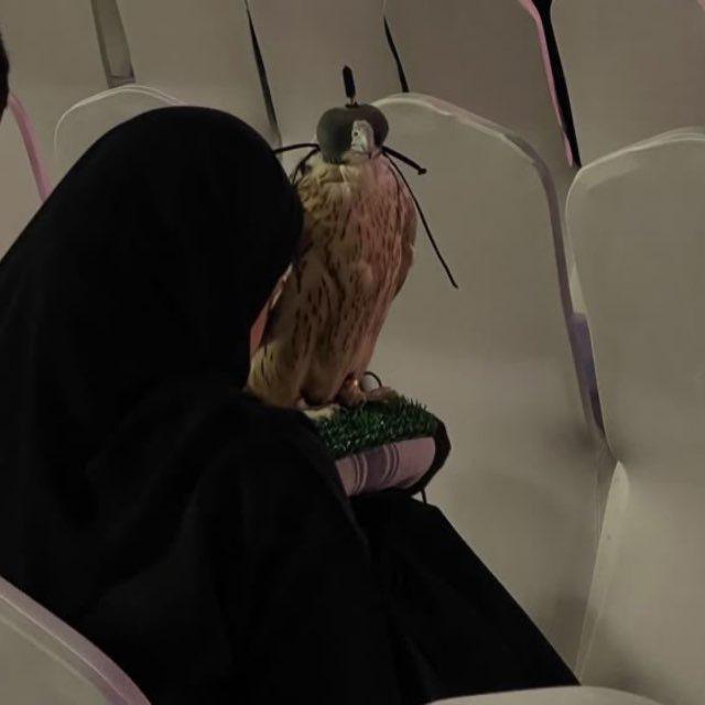 رعـبوبّ 𓄄.