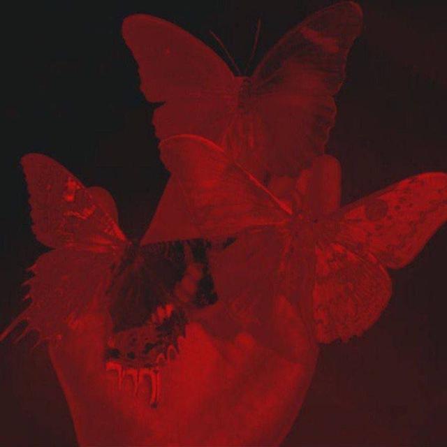 Звуки и музыка из тик тока ✨