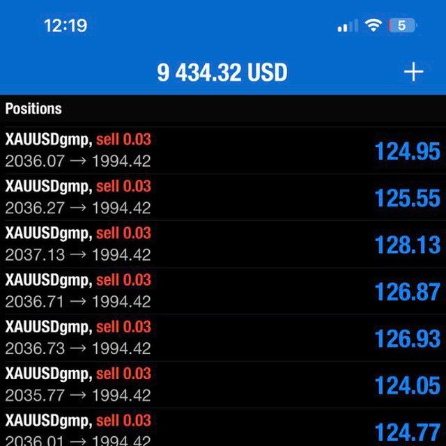 HangGold Fx