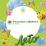 Лесопарк "Дубки" Апрелевка