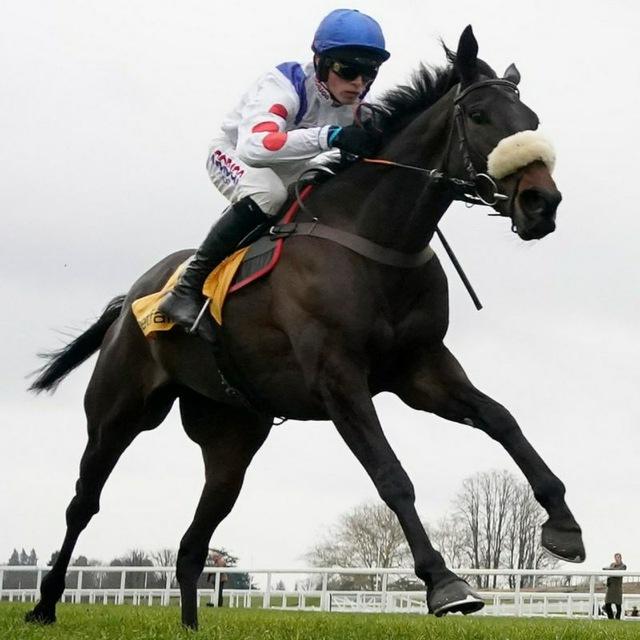 Free Horse Racing Tips 🏇