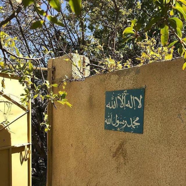 السائرون إلى الفردوس🤎