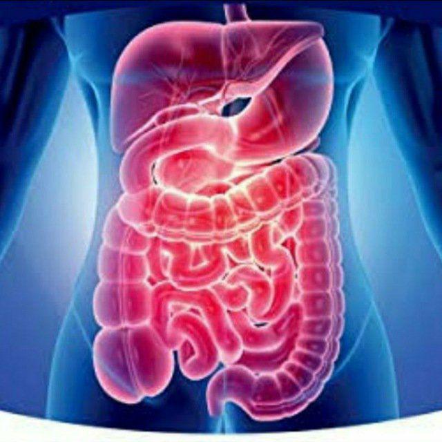 Gastroenterology and Hepatology Books