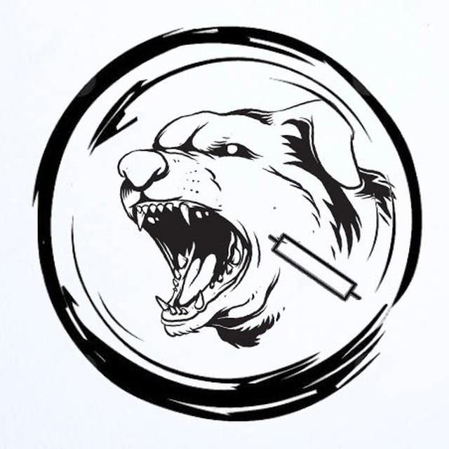PipsBull Channel (Malvin)