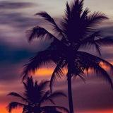 ♕‏وَلَسَوْفَ يُعْطِيكَ رَبُّكَ فَتَرْضَىٰ♕