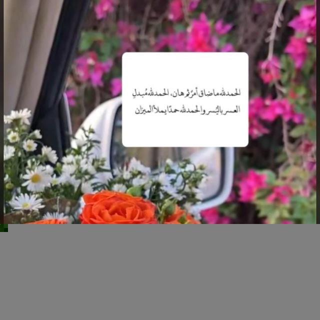 القران بلسم الـــروح|🌸🌧