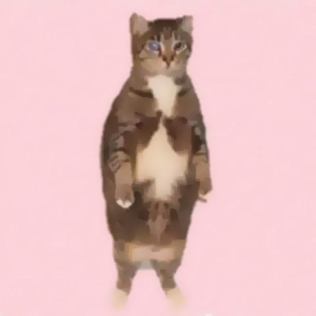 How Can I Trade