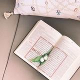 إعلان حلقات تحفيظ مجانية🎯