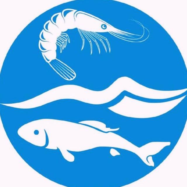 МОРСКОЕ ИЗОБИЛИЕ