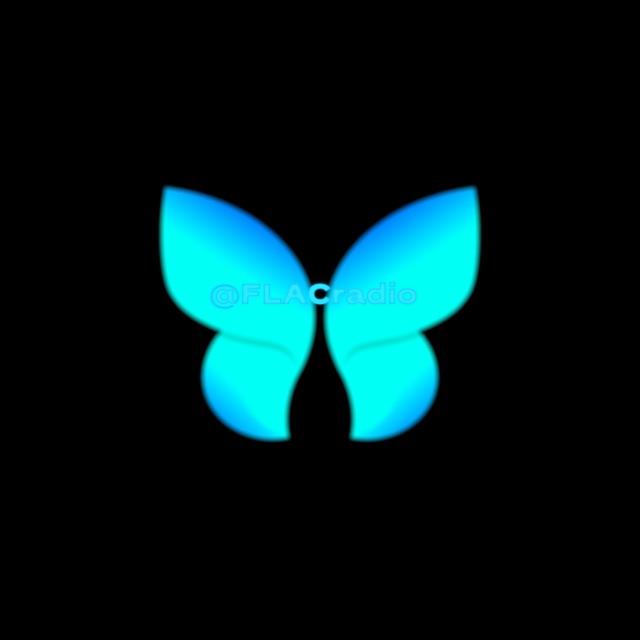 Electronic FLAC Music