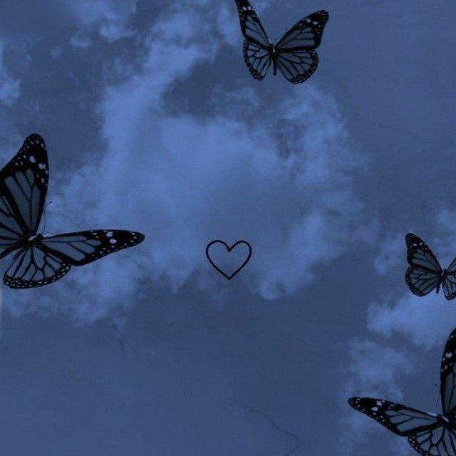 Sprüche und Bilder❤🌹✨
