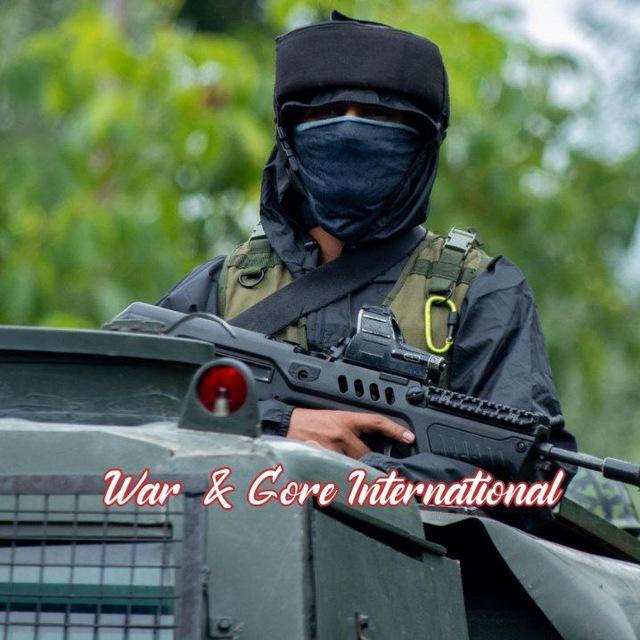 War & Gore Global