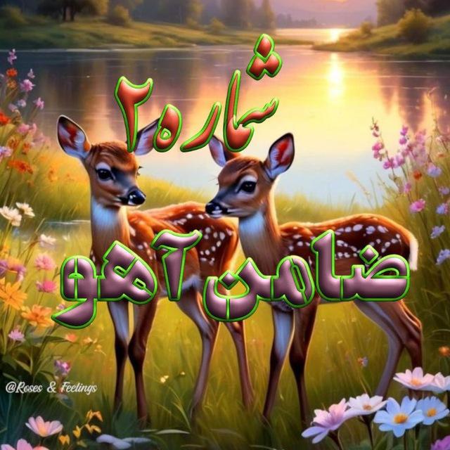 ﷽₰ـٍَْٰۣۣۣۣٓٓیـٍَْٰۣۣۣۣٓٓنکـٍَْٰۣۣۣۣٓٓدونـٍَْٰۣۣۣۣٓٓی♻️ضـٍَْٰۣۣۣۣٓٓامن♻️آ℘ـٍَْٰۣۣۣۣٓٓوﷺ