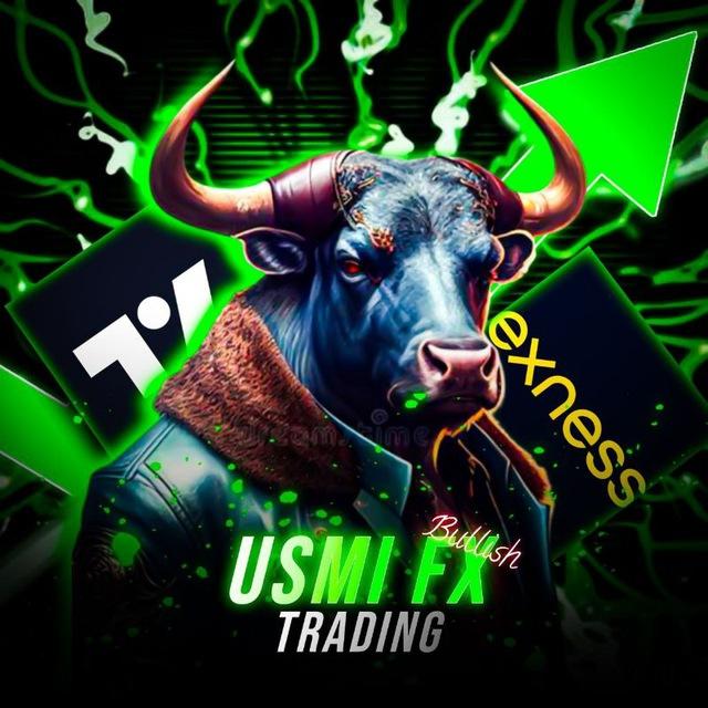 USMI FX
