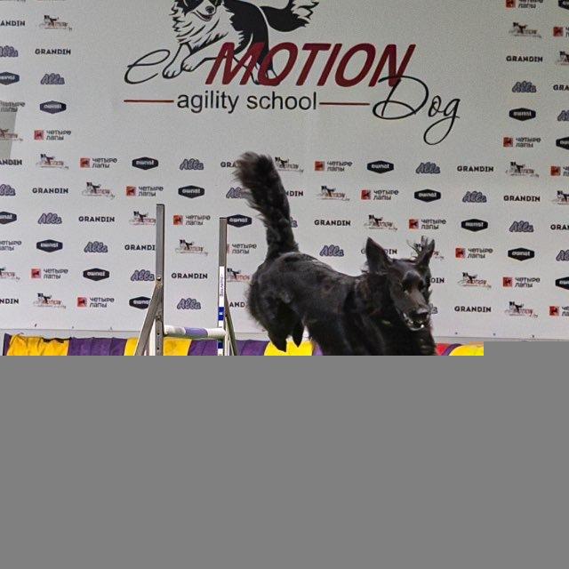 G&K | Agility